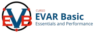 curso-evar-basic-logo-04B curso-evar-basic-logo-04B